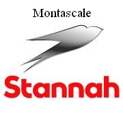 Montascale STANNAH
